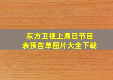 东方卫视上周日节目表预告单图片大全下载