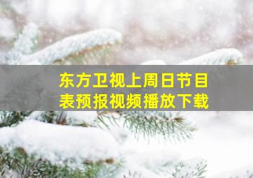 东方卫视上周日节目表预报视频播放下载