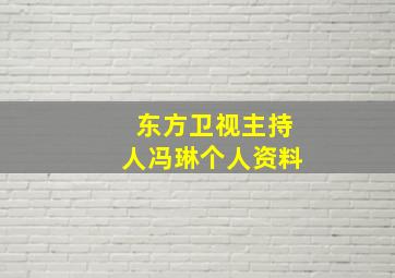 东方卫视主持人冯琳个人资料