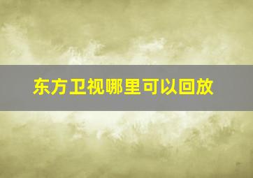 东方卫视哪里可以回放