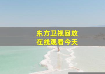 东方卫视回放在线观看今天