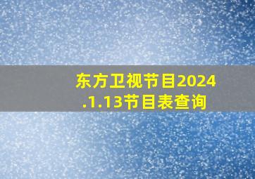 东方卫视节目2024.1.13节目表查询