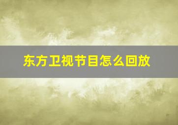 东方卫视节目怎么回放