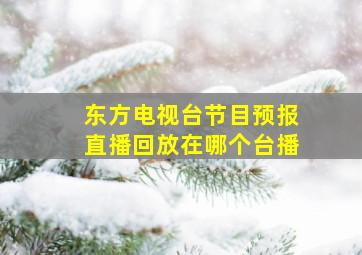 东方电视台节目预报直播回放在哪个台播