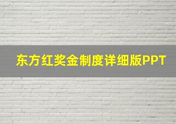 东方红奖金制度详细版PPT