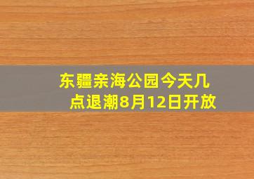 东疆亲海公园今天几点退潮8月12日开放