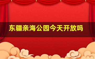 东疆亲海公园今天开放吗