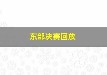 东部决赛回放