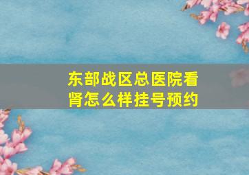 东部战区总医院看肾怎么样挂号预约