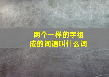 两个一样的字组成的词语叫什么词