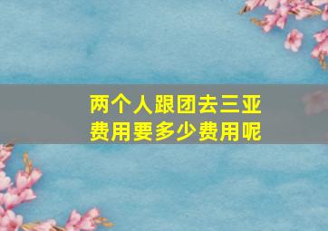 两个人跟团去三亚费用要多少费用呢