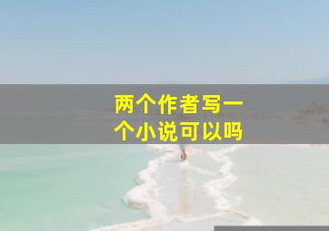 两个作者写一个小说可以吗