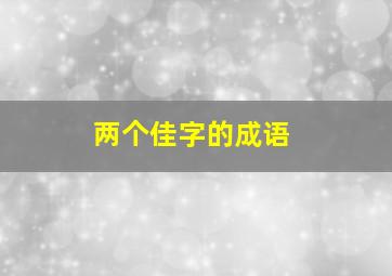 两个佳字的成语