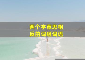 两个字意思相反的词组词语