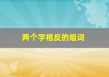 两个字相反的组词