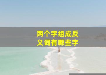 两个字组成反义词有哪些字