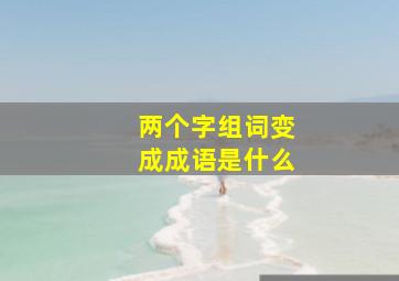 两个字组词变成成语是什么