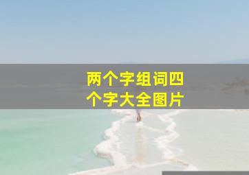 两个字组词四个字大全图片