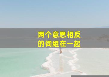 两个意思相反的词组在一起