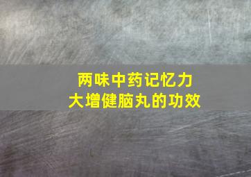 两味中药记忆力大增健脑丸的功效