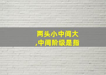 两头小中间大,中间阶级是指