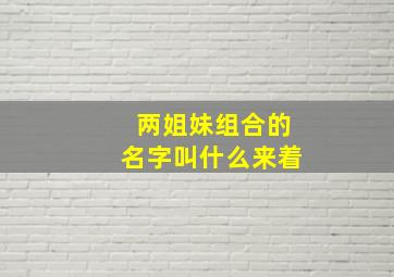 两姐妹组合的名字叫什么来着