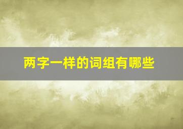 两字一样的词组有哪些