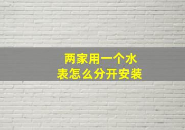 两家用一个水表怎么分开安装