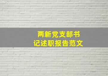 两新党支部书记述职报告范文