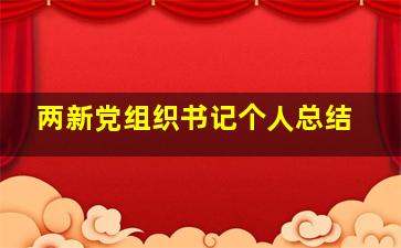 两新党组织书记个人总结