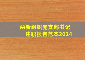 两新组织党支部书记述职报告范本2024