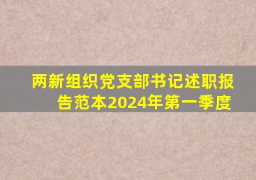 两新组织党支部书记述职报告范本2024年第一季度