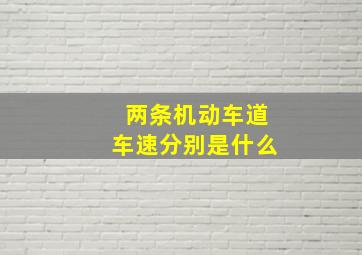 两条机动车道车速分别是什么