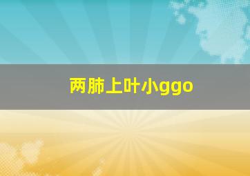 两肺上叶小ggo