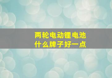 两轮电动锂电池什么牌子好一点