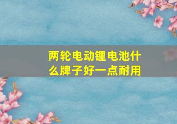 两轮电动锂电池什么牌子好一点耐用