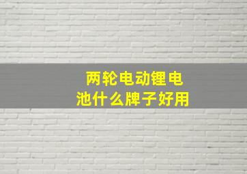 两轮电动锂电池什么牌子好用