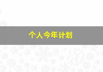 个人今年计划