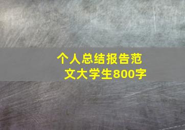 个人总结报告范文大学生800字