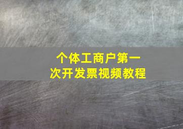 个体工商户第一次开发票视频教程