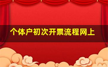 个体户初次开票流程网上