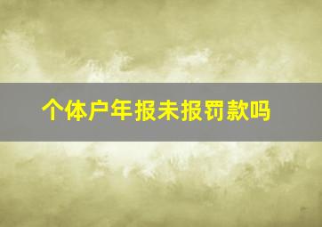 个体户年报未报罚款吗