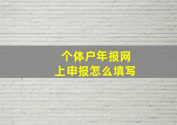 个体户年报网上申报怎么填写