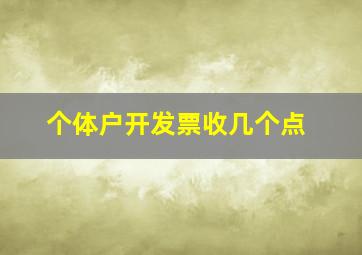 个体户开发票收几个点