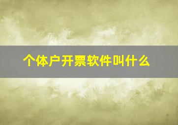 个体户开票软件叫什么