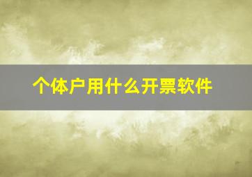 个体户用什么开票软件