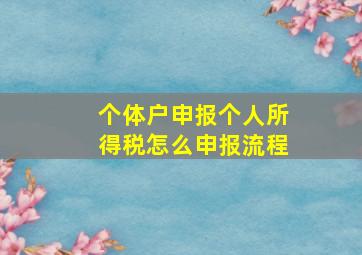 个体户申报个人所得税怎么申报流程