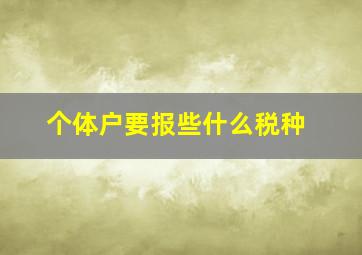 个体户要报些什么税种