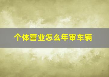 个体营业怎么年审车辆