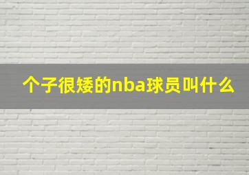 个子很矮的nba球员叫什么